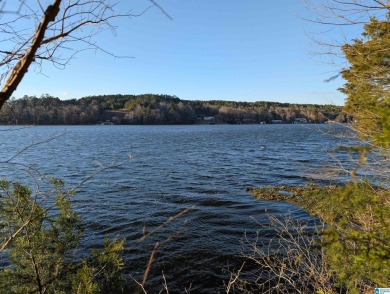 Lake Acreage For Sale in Adger, Alabama