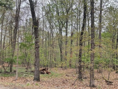 Lake Lot For Sale in Bella Vista, Arkansas