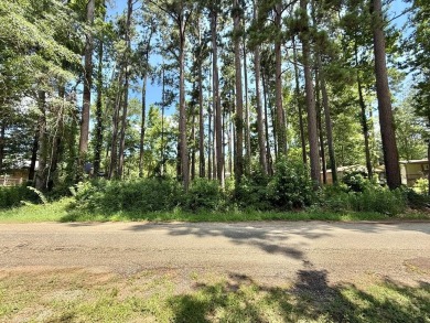 Lake Lot For Sale in Hemphill, Texas