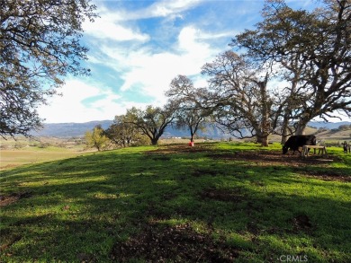 Clear Lake Acreage For Sale in Lakeport California