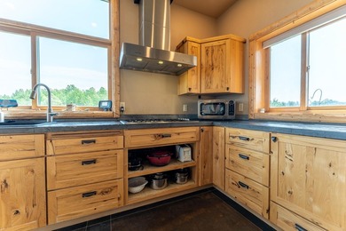 Experience exceptional lakefront living on beautiful Rainy Lake! - photo 10