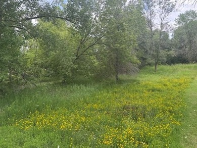 This lot offers a peaceful setting in a well-established - photo 2