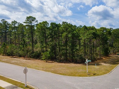 A magnificent wooded corner approximately 1/2 acre lot that is a - photo 1