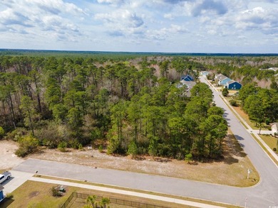 A magnificent wooded corner approximately 1/2 acre lot that is a - photo 5