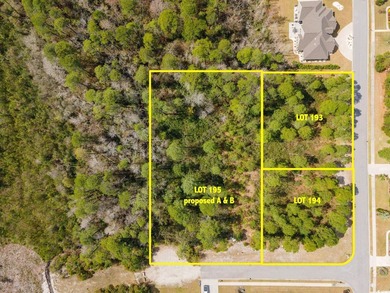 A magnificent wooded corner approximately 1/2 acre lot that is a - photo 6