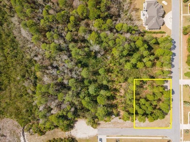 A magnificent wooded corner approximately 1/2 acre lot that is a - photo 7
