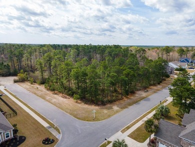 A magnificent wooded corner approximately 1/2 acre lot that is a - photo 10