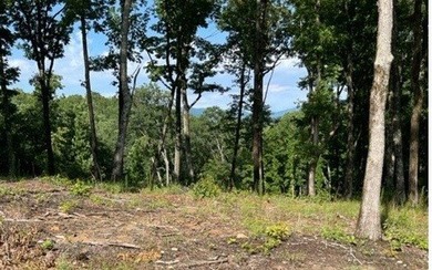 Crown Point lot in Highland Park. 1.53 acres. Very nice mountain - photo 3
