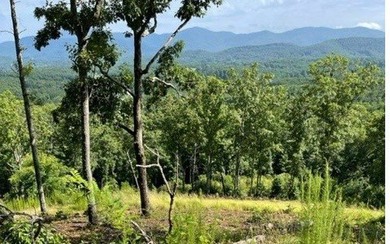 Lake Nottely Acreage For Sale in Blairsville Georgia
