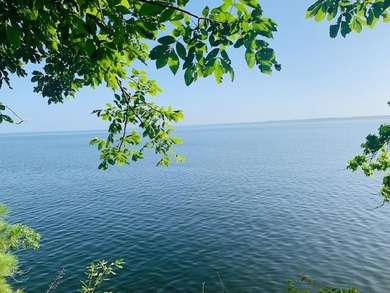 Toledo Bend Lake Lot For Sale in Milam Texas