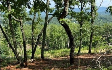 2 Lots, 116 & 117, Crown Point in Highland Park. 2.77 acres - photo 8