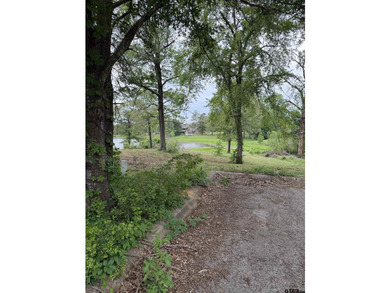 Two exceptional waterfront lots located in the highly - photo 7