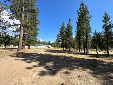 Big Bear Lake Acreage For Sale in Big Bear Lake California