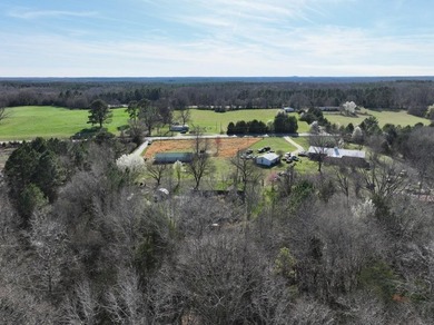 One story farm house on 74.39 acres. The 3 bedroom 2 bath home - photo 47