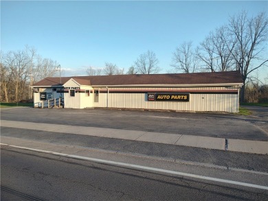 Lake Commercial For Sale in Seneca Falls, New York