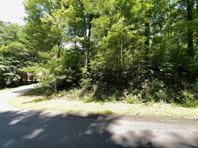 Lake Lot For Sale in Hiawassee, Georgia