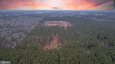 Lake Acreage For Sale in Millsboro, Delaware