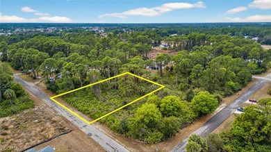 Lehigh Acres Area Lot For Sale in Lehigh Acres Florida