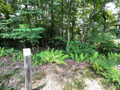 Lake Chatuge Lot Sale Pending in Hiawassee Georgia