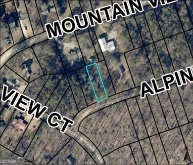 Lake Lot For Sale in Lavonia, Georgia