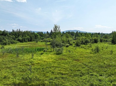 Chazy Lake Acreage For Sale in Ellenburg Depot New York