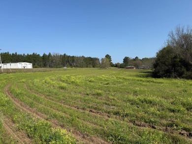 Lake Lot For Sale in Florala, Alabama