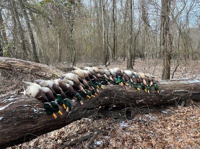 White River Acreage For Sale in Augusta Arkansas