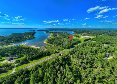 Lake Lot For Sale in Brookeland, Texas