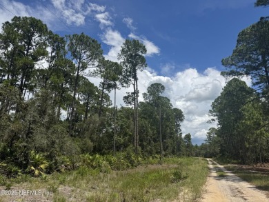 Lake Acreage Sale Pending in Georgetown, Florida