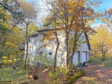 Lake Home For Sale in Clearwater, Minnesota