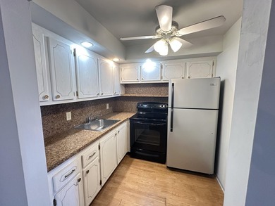 Welcome to this inviting condo in the desirable 55+ gated - photo 11