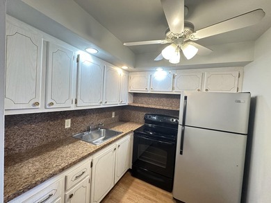 Welcome to this inviting condo in the desirable 55+ gated - photo 13