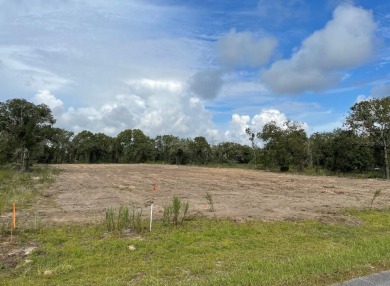 Lake Lot For Sale in Dunnellon, Florida