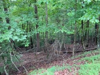 Coosawattee River - Gilmer County Lot For Sale in Ellijay Georgia