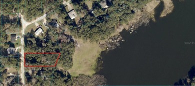 Lake Lot For Sale in Summerfield, Florida