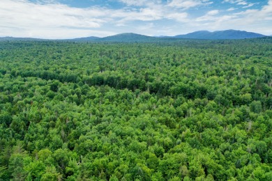 (private lake, pond, coastal) Acreage For Sale in Vermontville New York