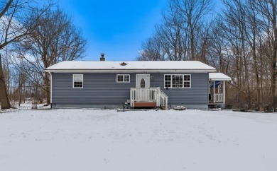 Lake Home Sale Pending in Stanton, Michigan