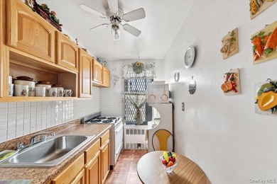 Woodlawn: MOTIVATED SELLER!! One bedroom co-op in immaculate - photo 5
