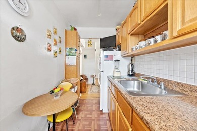 Woodlawn: MOTIVATED SELLER!! One bedroom co-op in immaculate - photo 6
