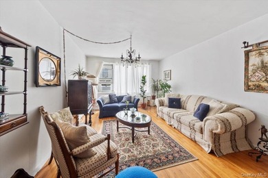 Woodlawn: MOTIVATED SELLER!! One bedroom co-op in immaculate - photo 9
