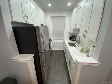 Completely renovated in 2023 this extra large condo unit offers - photo 2