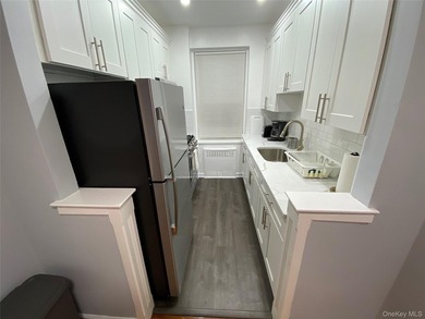 Completely renovated in 2023 this extra large condo unit offers - photo 4