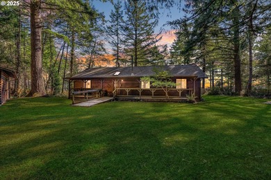 Charming log-style home on a gated, forested lot, complete with - photo 1
