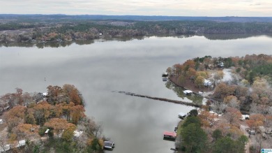 Lake Home For Sale in Shelby, Alabama