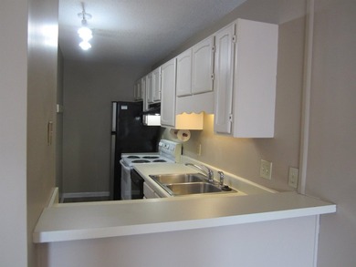 Don't miss this opportunity to own your own Beach getaway in the - photo 9