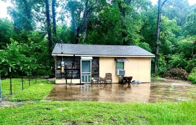 Lake Home For Sale in Trinity, Texas