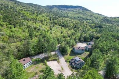 Tucked privately at the back of the Seasons at Attitash Resort - photo 33
