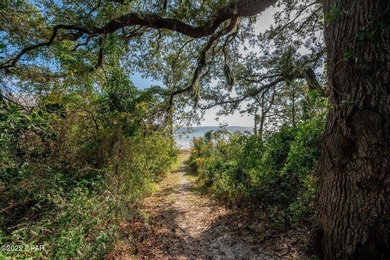 LOWEST PRICED PER SQUARE FOOT CUSTOM HOME IN SANCTUARY BEACH! - photo 41