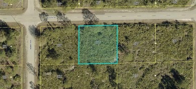 Lehigh Acres Area Lot For Sale in Lehigh Acres Florida