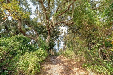 LOWEST PRICED PER SQUARE FOOT CUSTOM HOME IN SANCTUARY BEACH! - photo 42
